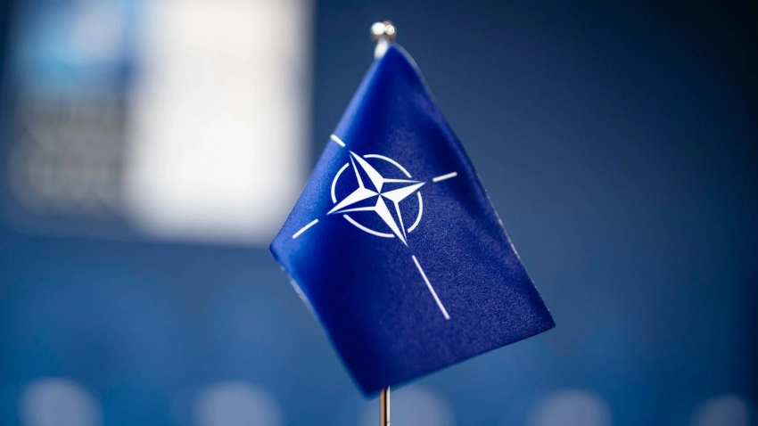 Обозреватель Bloomberg Клут посоветовал НАТО сменить тактику в отношениях с Россией