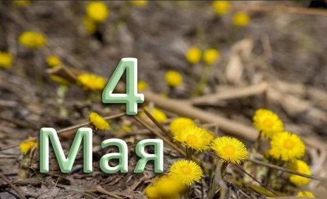 Какой праздник сегодня, 4 мая 2023 года, отмечают в РФ и мире, кто родился, что происходило в этот день в разные годы