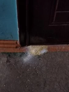Насыпали соль под дверь: что это значит и что с этим делать