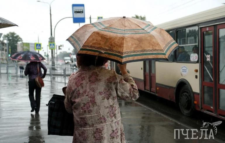 На Южный Урал придут ночные заморозки до -5 градусов