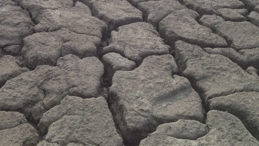 Politico предупредила Европу об угрозе засухи и конкуренции за водные ресурсы