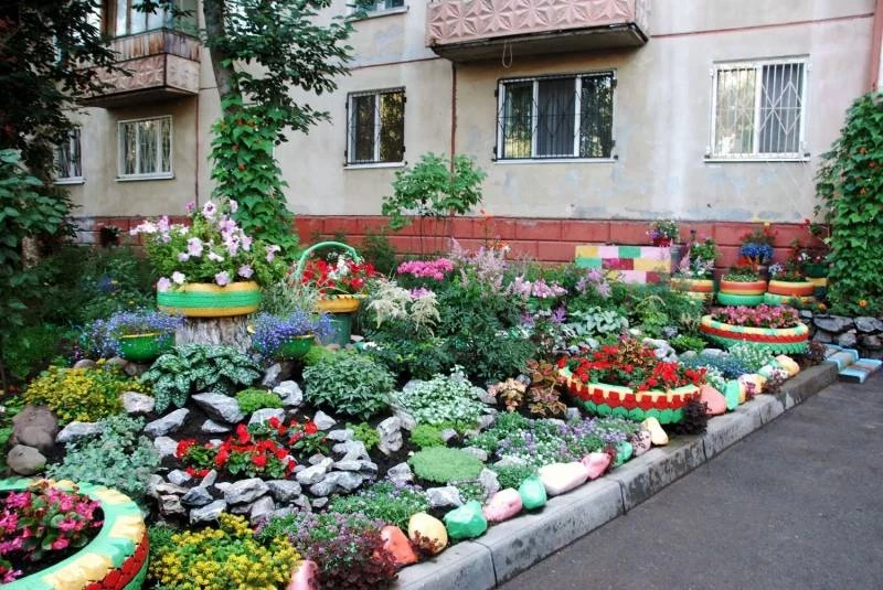 Какие растения нельзя самовольно высаживать под окнами домов