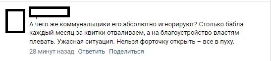 Петербуржцы жалуются на невыносимую ситуацию с тополиным пухом: «Может власти попробуют пошевелиться?»