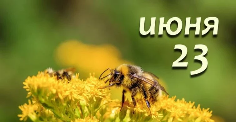 Какие праздники, простые и церковные, отмечают сегодня, 23 июня 2023 года