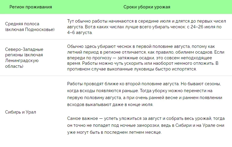 Сроки уборки озимых лука и чеснока согласно лунному календарю в июле 2023