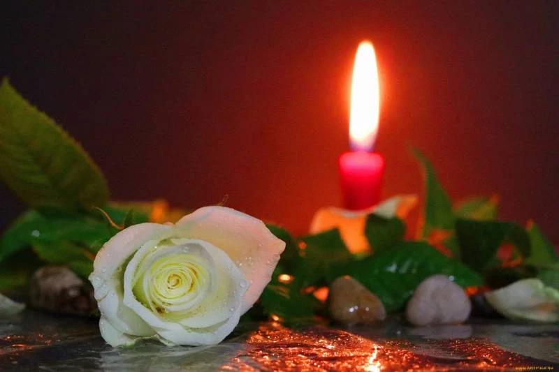 Стали известны новые подробности гибели 11-летнего школьника под Москвой