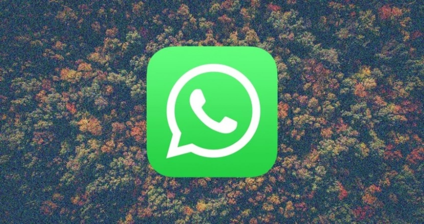 Какие нововведения WhatsApp уже начали работать в июне 2023 года, что изменилось в работе популярного мессенджера