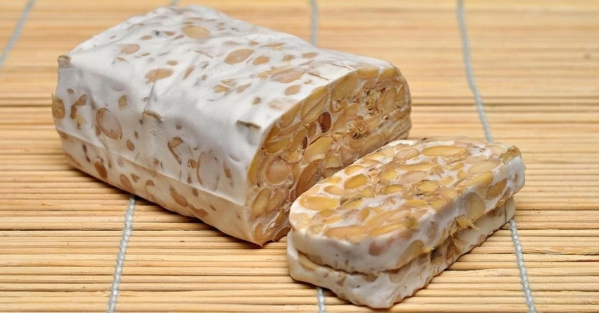 Польза продукта темпе, почему его стоит включить в рацион