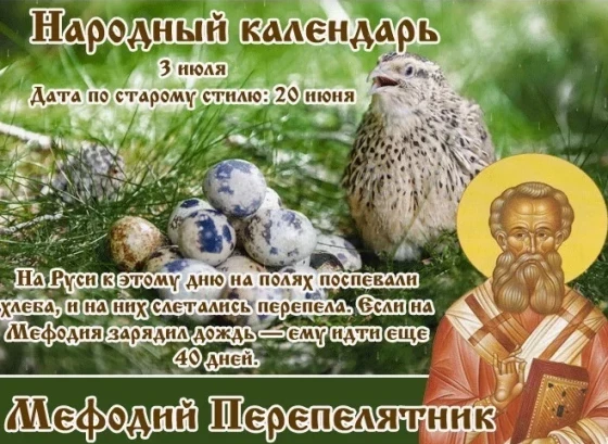 Церковный праздник отмечается 3 июля, в честь святого мученика Мефодия Патарского, Олимпийского, епископа: почему его прозвали на Руси Перепелятником