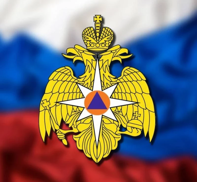 Профессиональный праздник 18 июля отмечают Органы государственного пожарного надзора РФ
