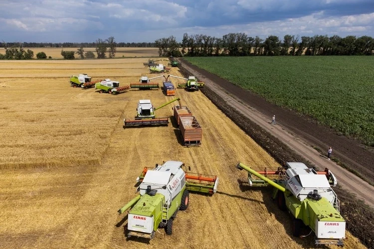 Какие товары станут новой нефтью России, что об этом известно на сегодняшний день