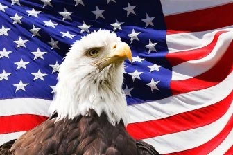 США подталкивают Европу к безнадёжной борьбе с Поднебесной
