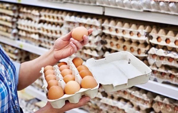 ФАС предложила продавцам ограничить наценки на куриные яйца до 5% 