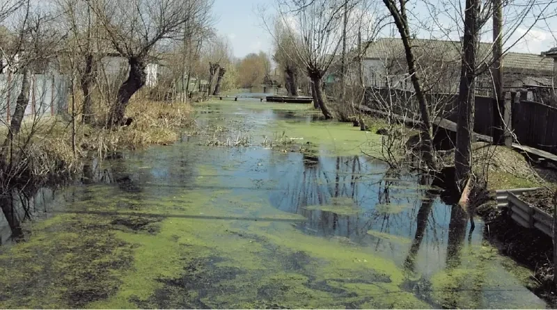 «Украина в миниатюре»: в Вилково Одесской области почти не осталось мужчин — NYT