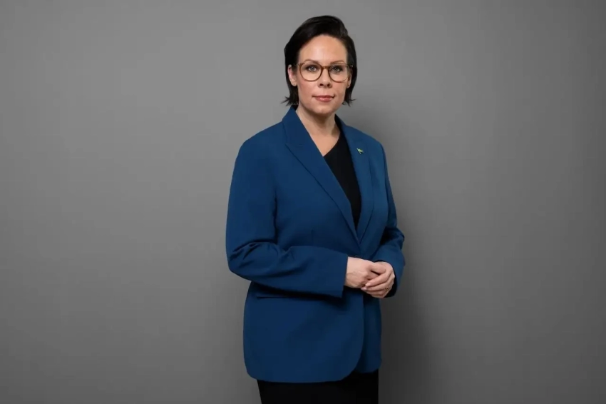 Глава МИД Швеции: страны Скандинавии помогают Украине больше, чем другие