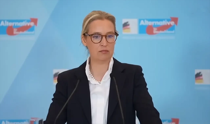 Сопредседатель «АдГ»: Украина стала коррупционной трясиной для Германии